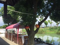 -乡乐园蟹庄·阳澄湖农家乐