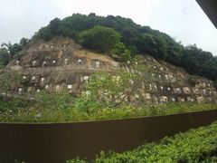 -香港大学