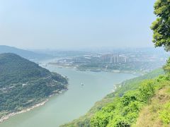 -铁山坪森林公园