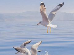 -丽江泸沽湖景区