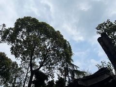 -成都武侯祠博物馆