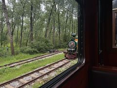 -合肥滨湖国家森林公园