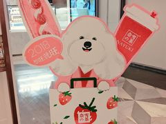 -奈雪的茶(市百一店)