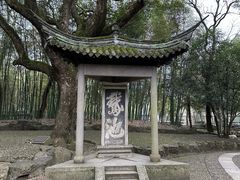 -兰亭风景区
