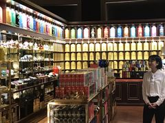 -新加坡瑞士史丹福酒店