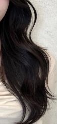 -SALON DE VANHADA