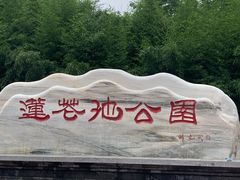 -莲花池公园