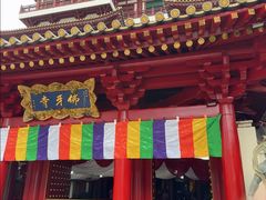 -新加坡佛牙寺龙华院