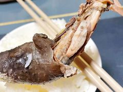 五黑鸡-福安菜市场