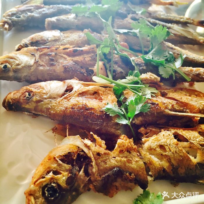 貂皮屯鱼馆-图片-西丰县美食-大众点评网