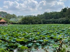 -南国桃园旅游度假区