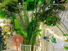 -天空花园餐吧·生日·团建(南山店)