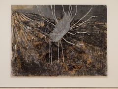 -旧金山现代艺术博物馆