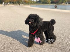 -尚贤河湿地