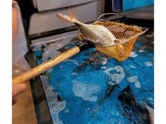 金鯧魚-盒马鲜生(曜一城店)