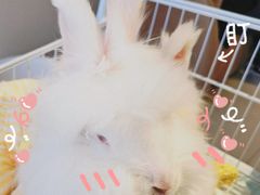 -怪兽屋·羊驼·猫咖·狗咖(俊华广场店)