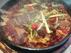 -老板恋上鱼(恒隆广场店)