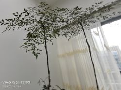 -HEYAN荷妍专业脱毛连锁机构