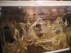 -奉天掌柜·非遗猪手·笨饺子(崇山路店)
