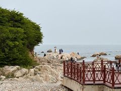 -养马岛旅游度假区