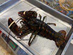 -北塘海鲜·天津菜·鲅鱼水饺是一绝(大光明桥旗舰店)