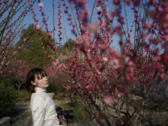 -雨花胜境