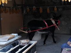 -玉泉山庄(张老营店)