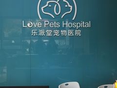 -乐派堂宠物医院·猫友好· 心脏科(东街店)