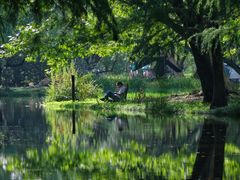 -上海共青森林公园