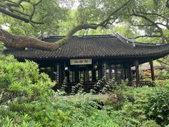 -上海醉白池公园