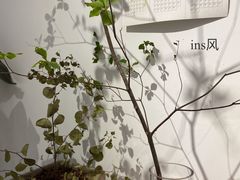 -COTTON CAFE(德信·中外公寓店)