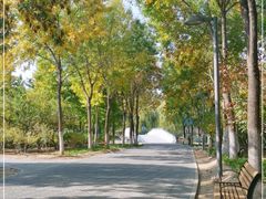 -大兴滨河森林公园