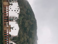 -花水湾第一村温泉大酒店