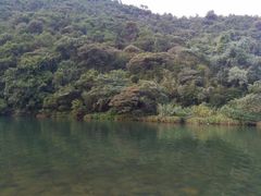 -九鲤溪瀑景区