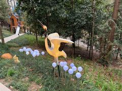 -东明山森林公园