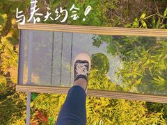 -海南槟榔谷黎苗文化旅游区