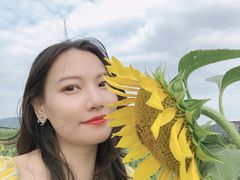 -光明小镇欢乐田园