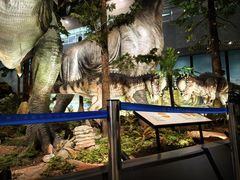 -湖南省地质博物馆