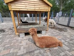 -长白岛森林公园