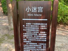 -紫薇公园