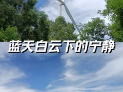 -汕尾风车岛