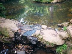 -杭州半山国家森林公园