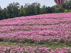 -歌斐颂巧克力小镇