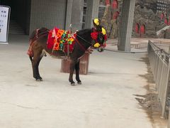 -陕西黄河壶口瀑布旅游区