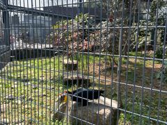 -苏州上方山国家森林公园