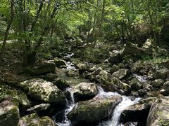 -燕子河大峡谷天坑仙境