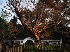 -南山风景名胜区