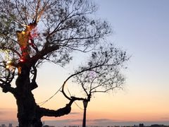 -人民防洪胜利纪念塔