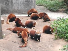 -西安秦岭野生动物园