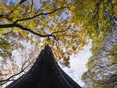 -灵谷景区
